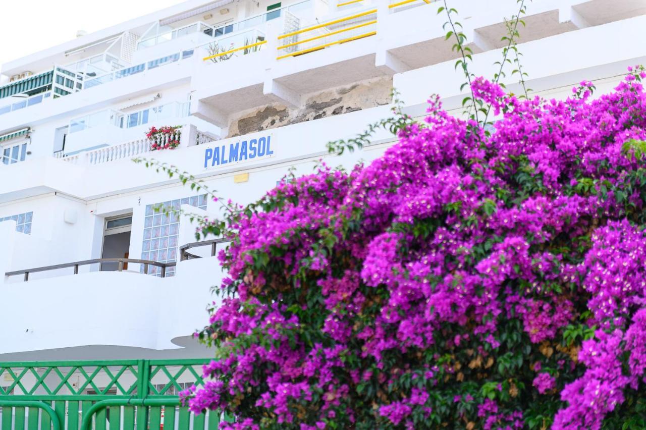 Palmasol Apartamentos Пуерто-Ріко Екстер'єр фото